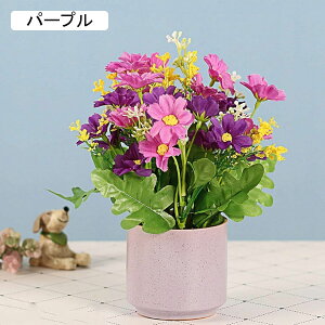 f[W[  e K[x ins 邢 Z~bNԕrt ~j  ͂Ȃ ԑ ϗtA u[P A ~ CeA   iX p[eB[ u  Mtg