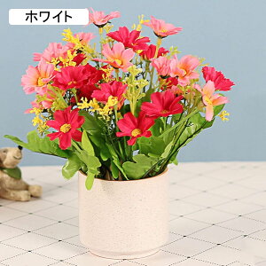 f[W[  e K[x ins 邢 Z~bNԕrt ~j  ͂Ȃ ԑ ϗtA u[P A ~ CeA   iX p[eB[ u  Mtg