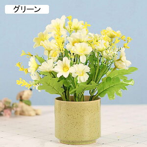 f[W[  e K[x ins 邢 Z~bNԕrt ~j  ͂Ȃ ԑ ϗtA u[P A ~ CeA   iX p[eB[ u  Mtg