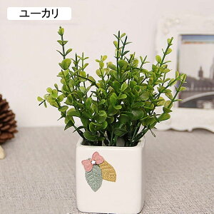 [J@ԁ@O[@Z~bNԕrt@@~j@͂Ȃԁ@ԑ@ϗtA@u[P@A@~́@CeA@@iX@p[eB[@u@@Mtg@