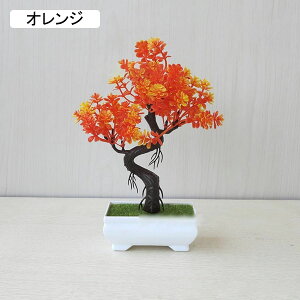  lHϗtA CeA  k tFCNO[ ~ A   z[  fXN A u Vzj ] Mtg 蕨 v[g