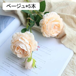 gRLLE O 5{  ͂Ȃ ԑ u[P lHϗtA hCt[ t[AWg CeA  iX rO e[u u   EFfBO 