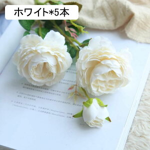 gRLLE O 5{  ͂Ȃ ԑ u[P lHϗtA hCt[ t[AWg CeA  iX rO e[u u   EFfBO 