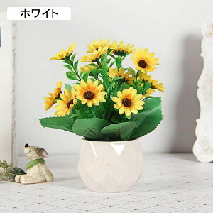 @Ђ܂@ԁ@ins@邢@Z~bNԕrt@~j@@͂Ȃԁ@ԑ@ϗtA@u[P@A@~́@CeA@@@iX@p[eB[@u