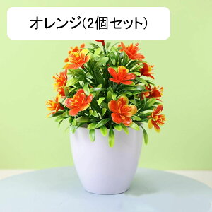 tFCNO[ lHϗtA  vX`bN A  ~ CeA ItBX X  u ͂Ȃ lH JXj Vzj zCg