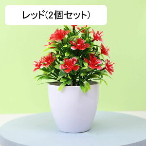 tFCNO[ lHϗtA  vX`bN A  ~ CeA ItBX X  u ͂Ȃ lH JXj Vzj zCg