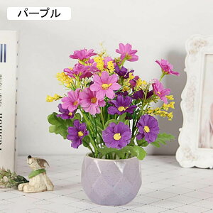 ԁ@e@f[W[@K[x@ins@邢@Z~bNԕrt@~j@@͂Ȃԁ@ԑ@ϗtA@u[P@A@~́@CeA@@@iX@p[eB