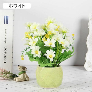 ԁ@e@f[W[@K[x@ins@邢@Z~bNԕrt@~j@@͂Ȃԁ@ԑ@ϗtA@u[P@A@~́@CeA@@@iX@p[eB