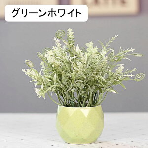 r@ԁ@V_@ins@Z~bNԕrt@~j@@͂Ȃԁ@ԑ@ϗtA@u[P@A@~́@CeA@@@iX@p[eB[@u@@Mt