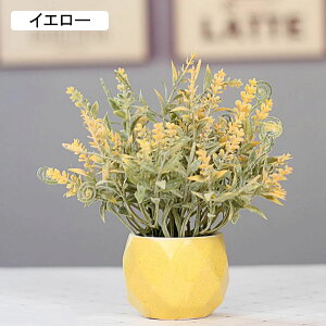 r@ԁ@V_@ins@Z~bNԕrt@~j@@͂Ȃԁ@ԑ@ϗtA@u[P@A@~́@CeA@@@iX@p[eB[@u@@Mt