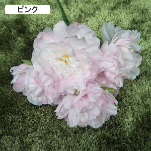 O  CeA A[gt[ ͂Ȃ ڂ ԑ { lHAӏ tFCNt[ Ԃ̂ EFfBO lHԃu[P FI  u z[/ze/iX/