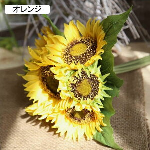 Ђ܂@@ԁ@͂Ȃԁ@ԑ@u[P@lHϗtA@hCt[@t[AWg@CeA@@iX@rO@e[u@u@@