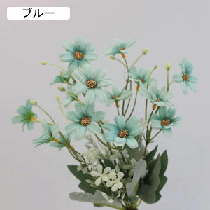 e@6{@c@ԁ@͂Ȃԁ@ԑ@u[P@lHϗtA@hCt[@t[AWg@CeA@@iX@rO@e[u@u@@Be