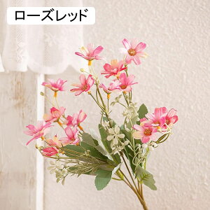 e@6{@c@ԁ@͂Ȃԁ@ԑ@u[P@lHϗtA@hCt[@t[AWg@CeA@@iX@rO@e[u@u@@Be