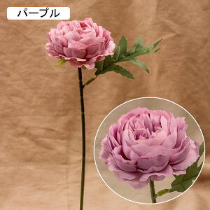 䉖  CeA A[gt[ ͂Ȃ ԑ u[P { tFCNt[ EFfBO lH FI  u  z[/p[eB[//Be v