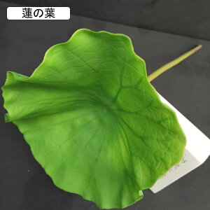  CeA  @̉ tFCNt[ bsv ͂Ȃ k A[gt[ AWg  ϏܐA Be O  { A-sN2