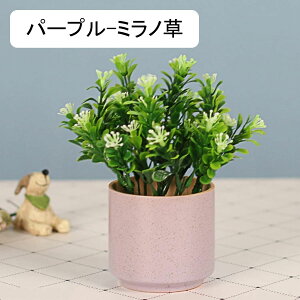 qt@[J@ϗtA@ԁ@ins@Z~bNԕrt@~j@@͂Ȃԁ@A@~́@CeA@p@@iX@p[eB[@u@@Mtg@v