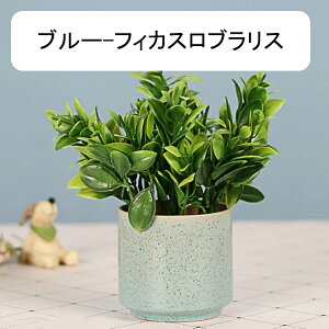 qt@[J@ϗtA@ԁ@ins@Z~bNԕrt@~j@@͂Ȃԁ@A@~́@CeA@p@@iX@p[eB[@u@@Mtg@v