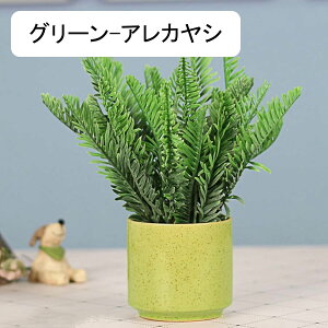 qt@[J@ϗtA@ԁ@ins@Z~bNԕrt@~j@@͂Ȃԁ@A@~́@CeA@p@@iX@p[eB[@u@@Mtg@v