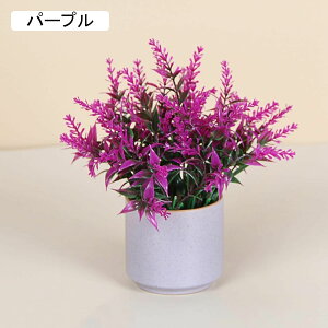 x_[@ԁ@@Z~bNԕrt@~j@@͂Ȃԁ@ԑ@ϗtA@u[P@A@~́@CeA@@@iX@p[eB[@u@@Mt