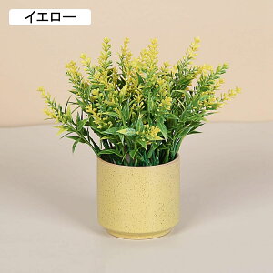 x_[@ԁ@@Z~bNԕrt@~j@@͂Ȃԁ@ԑ@ϗtA@u[P@A@~́@CeA@@@iX@p[eB[@u@@Mt