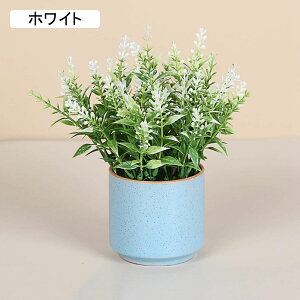 x_[@ԁ@@Z~bNԕrt@~j@@͂Ȃԁ@ԑ@ϗtA@u[P@A@~́@CeA@@@iX@p[eB[@u@@Mt