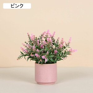 x_[@ԁ@@Z~bNԕrt@~j@@͂Ȃԁ@ԑ@ϗtA@u[P@A@~́@CeA@@@iX@p[eB[@u@@Mt