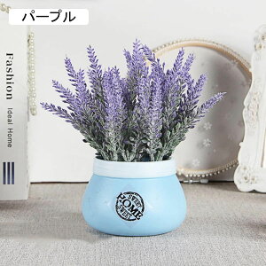 x_[@ԁ@k@ins@Z~bNԕrt@~j@͂Ȃԁ@ԑ@ϗtA@u[P@A@~́@CeA@@iX@p[eB[@u@@Mtg@v