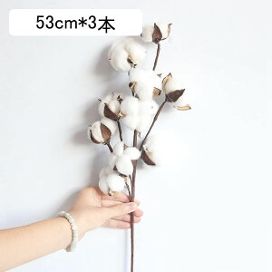 ȉ Rbg ؖ 3{ 53cm  ͂Ȃ ԑ u[P ϗtA lHϗtA hCt[ t[AWg CeA  iX rO e[u u  Mtg