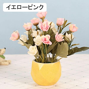 [Y@ԁ@o@k@邢@Z~bNԕrt@~j@@킢@͂Ȃԁ@ԑ@ϗtA@u[P@A@~́@CeA@@iX@p[eB[@u