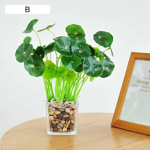 ϗtA  KXt {  ͂Ȃ bsv lH tFCNO[ CeA ItBX X  JƏj rO///ʑ/Qp A 蕨 v