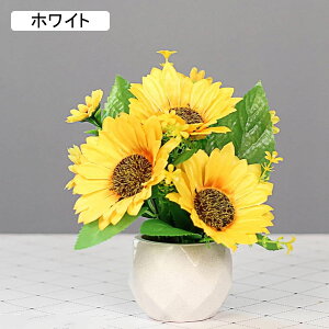   Ђ܂ 邢 Z~bNԕrt ~j  ͂Ȃ ԑ ϗtA u[P A ~ CeA   iX p[eB[ u  Mtg v[g 