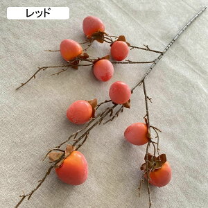  tFCNt[  CeA `ʎ} A[gt[ ͂Ȃ LC lHϗtA DIY X   u 蕨 j { 