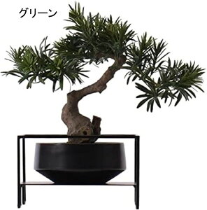 V~[VA~ lH~́AtFCNvgAlHϗtAQXgO[eBO~͐AZ~bNA ̂߂̑Ԃ̗΂̑