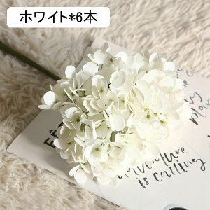 @zԁ@6{@ԑ@u[P@ԁ@͂Ȃԁ@lHϗtA@hCt[@t[AWg@CeA@@iX@rO@e[u@u@@B