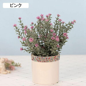 nin}TW@nN`EQ@ԁ@Xg[tZ~bNԕr@~j@@͂Ȃԁ@ԑ@ϗtA@u[P@A@~́@CeA@@@iX@p[eB[@
