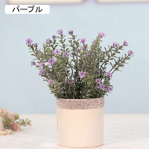 nin}TW@nN`EQ@ԁ@Xg[tZ~bNԕr@~j@@͂Ȃԁ@ԑ@ϗtA@u[P@A@~́@CeA@@@iX@p[eB[@