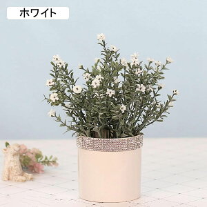 nin}TW@nN`EQ@ԁ@Xg[tZ~bNԕr@~j@@͂Ȃԁ@ԑ@ϗtA@u[P@A@~́@CeA@@@iX@p[eB[@