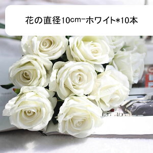 o [Y 10{ ԕr  ԑ u[P ͂Ȃ lHϗtA hCt[ t[AWg CeA  iX rO e[u u  Be  EF