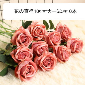 o [Y 10{ ԕr  ԑ u[P ͂Ȃ lHϗtA hCt[ t[AWg CeA  iX rO e[u u  Be  EF