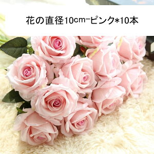 o [Y 10{ ԕr  ԑ u[P ͂Ȃ lHϗtA hCt[ t[AWg CeA  iX rO e[u u  Be  EF