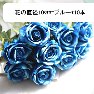 o [Y 10{ ԕr  ԑ u[P ͂Ȃ lHϗtA hCt[ t[AWg CeA  iX rO e[u u  Be  EF