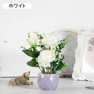 gRMLE  j[ INS }`bN Z~bNԕrt ~j  ͂Ȃ ԑ ϗtA u[P A ~ CeA   iX p[eB[ u  Mtg