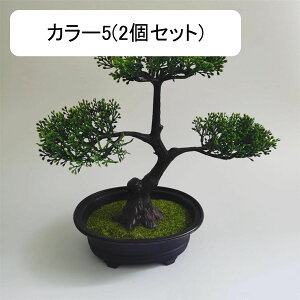 ϗtA  A lHϗtA tFCNO[ { ~ CeA  ItBX X  u ͂Ȃ b炸  JXj Vzv[g 2Zbg