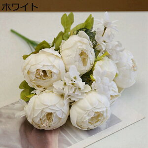 ԑ  {^ 131Zbg CeA ʐ^Be j  뉀 Ԍ|p  a ̓Mtg ͂Ȃ  hCt[ ~ju[P t[ lHϗtA