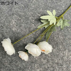   { ͂Ȃ 14{ ԑ CeA ʐ^Be j v[g  iX  sv  Ԍ|p lHϗtA 