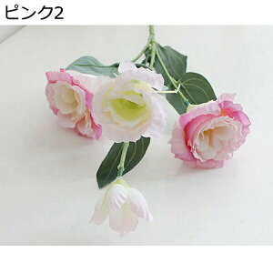 ͂Ȃ LLE   1040{ {   Ԍ|p  ʐ^Be j iX a p INS v[g sv  ~ju[P VN