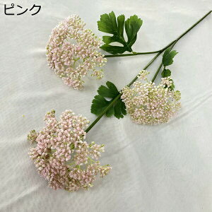 VN ԑ 13{ ͂Ȃ sv  { 뉀 Ԍ|p ʐ^Be iX   ͂Ȃ k CeA u[P lHϗtA 