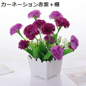  CeA 傫ȐԎ g˃o J[l[V e S AWTC [J v[g Mtg 蕨 JXj a    EFfBO u[P Lb` ItBX