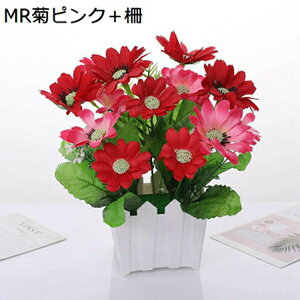  CeA 傫ȐԎ g˃o J[l[V e S AWTC [J v[g Mtg 蕨 JXj a    EFfBO u[P Lb` ItBX